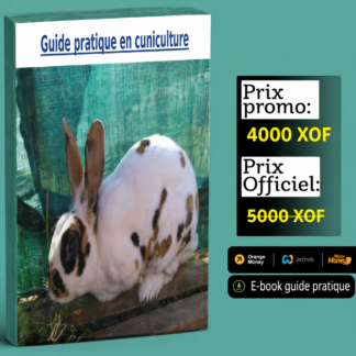 Élevage de lapins de A à Z – Guide complet (ebook PDF)